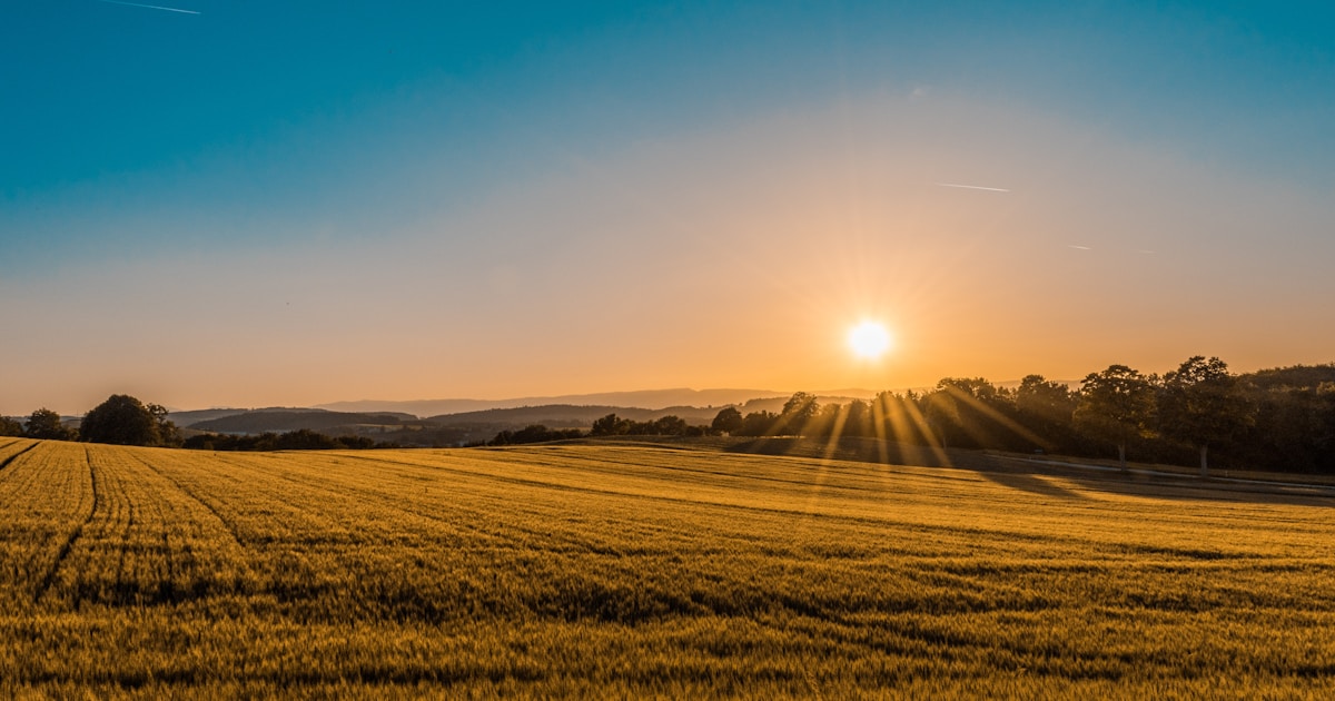 Immobilier rural : l'opportunité cachée de 2026